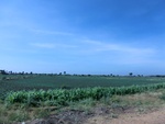 40847CIMG6833.JPG