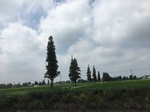 2017-09-12_12-57-59_0D9AAA4A-2A3E-4E90-9112-49C6F7017D8A.jpg