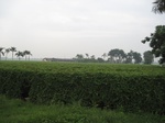 15732IMG_4816.JPG