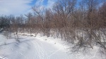 2017-02-17_14-02-55_DSC_0756.JPG