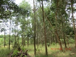 2012-09-26_20-48-23_CIMG0971.JPG