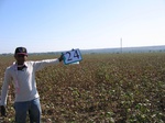 8015024-Farm land (Surface water) Cotton-a.jpg