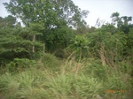 3734RIMG0037.JPG