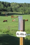 2017-06-02_13-07-28_Rain Gauge 2.jpg