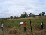 10633gt-052-wetland-valley-bottom-grass-dominant-01.jpg