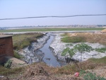 4545RIMG0004-1.JPG