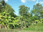 5790100_1392.JPG