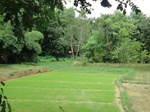 21310DSC00695.JPG
