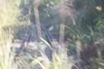 2019-12-06_16-06-32_4E8A8930.JPG