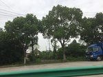 2017-09-10_06-45-08_82CCD863-9211-44B1-875B-96FB18992C87.jpg