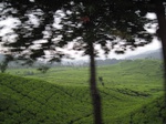 18048IMG_3847.JPG