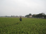 15005IMG_3815.JPG