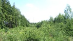 2016-07-25_03-45-00_DSCF1458.JPG