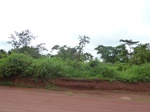 19881P1010731.JPG