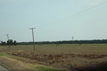 2022-05-26_14-37-01_E281F787-C41A-4CB6-9C81-2DB6EB305977.jpeg
