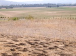 2020-05-28_13-27-04_2012-09-01_Erratic_RockE.JPG