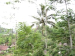 16350IMG_5133.JPG