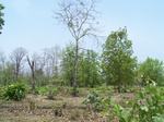 17426100_2112.JPG
