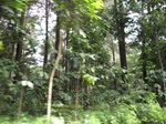 16187IMG_4945.JPG
