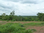 18466P1000302.JPG