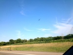 57969IMG_0932.JPG