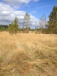 2012-09-16_20-52-38_WA-KG-106-7.JPG
