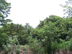 502220042008(47).JPG