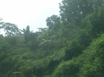 2012-09-08_18-24-01_RIMG0034.JPG