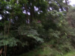 1707311052008(81).JPG