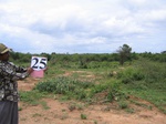 825525-cropland-chena-1yr-fallowb.jpg