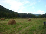 2012-09-19_15-52-14_NC-YN-4-2.jpg