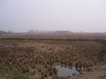 2960 064.jpg