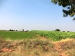 41180CIMG8017.JPG