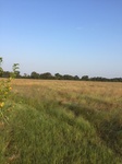 2017-09-04_09-21-02_Looking West.JPG