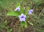 14478IMG_4836.JPG