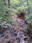 2012-09-03_16-25-15_0903120856a.jpg