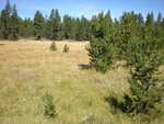 2012-09-16_21-56-29_OR-DS-29-5.JPG