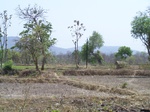 478801052008(6).JPG