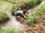 2012-09-07_10-20-04_CIMG6718.JPG
