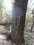 2012-09-24_10-40-18_DSC03111.JPG