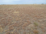 39217HOBA20110907W.JPG