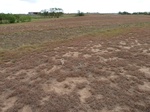 39155ALV220110810E.JPG