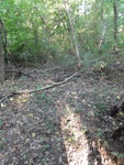 2012-09-24_10-40-26_DSC03099.JPG
