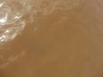 2012-09-21_14-27-07_CIMG3218.JPG