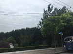 2017-09-10_06-44-25_49EB15BD-E5FD-4D1F-9044-62671BA0141A.jpg