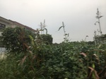 2017-09-12_05-00-29_1C7DB34F-8A15-4401-B6D9-44939C5EA228.jpg