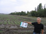 8036034-Farm land (Surface water) winter wheat-b.jpg