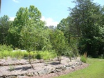 2017-05-29_11-53-44_DSC01296.JPG