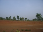3819RIMG0123.JPG