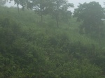 2012-09-08_19-26-23_RIMG0022.JPG